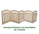 Divisorio Cancelletto 5 Moduli